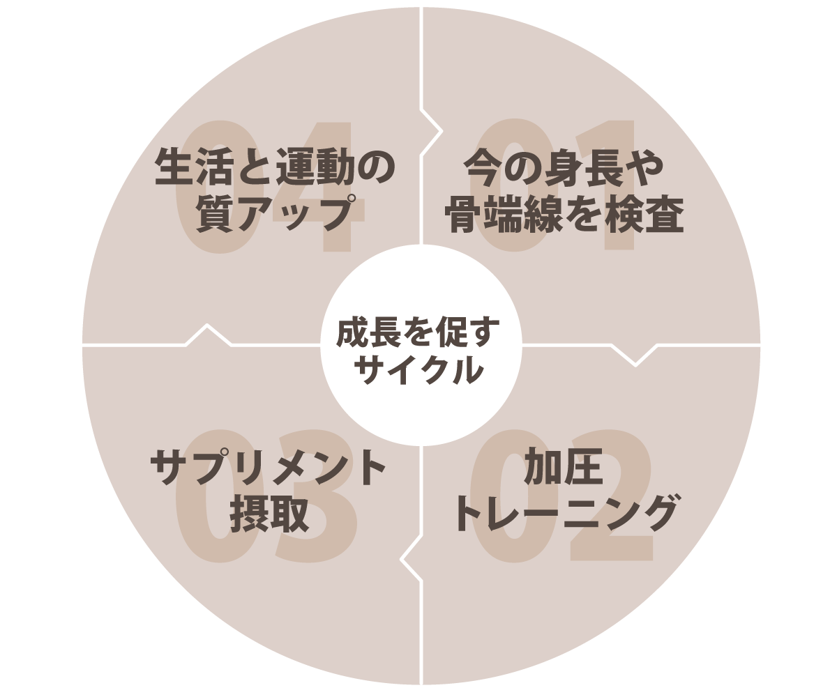 のびトレの4つのサイクル